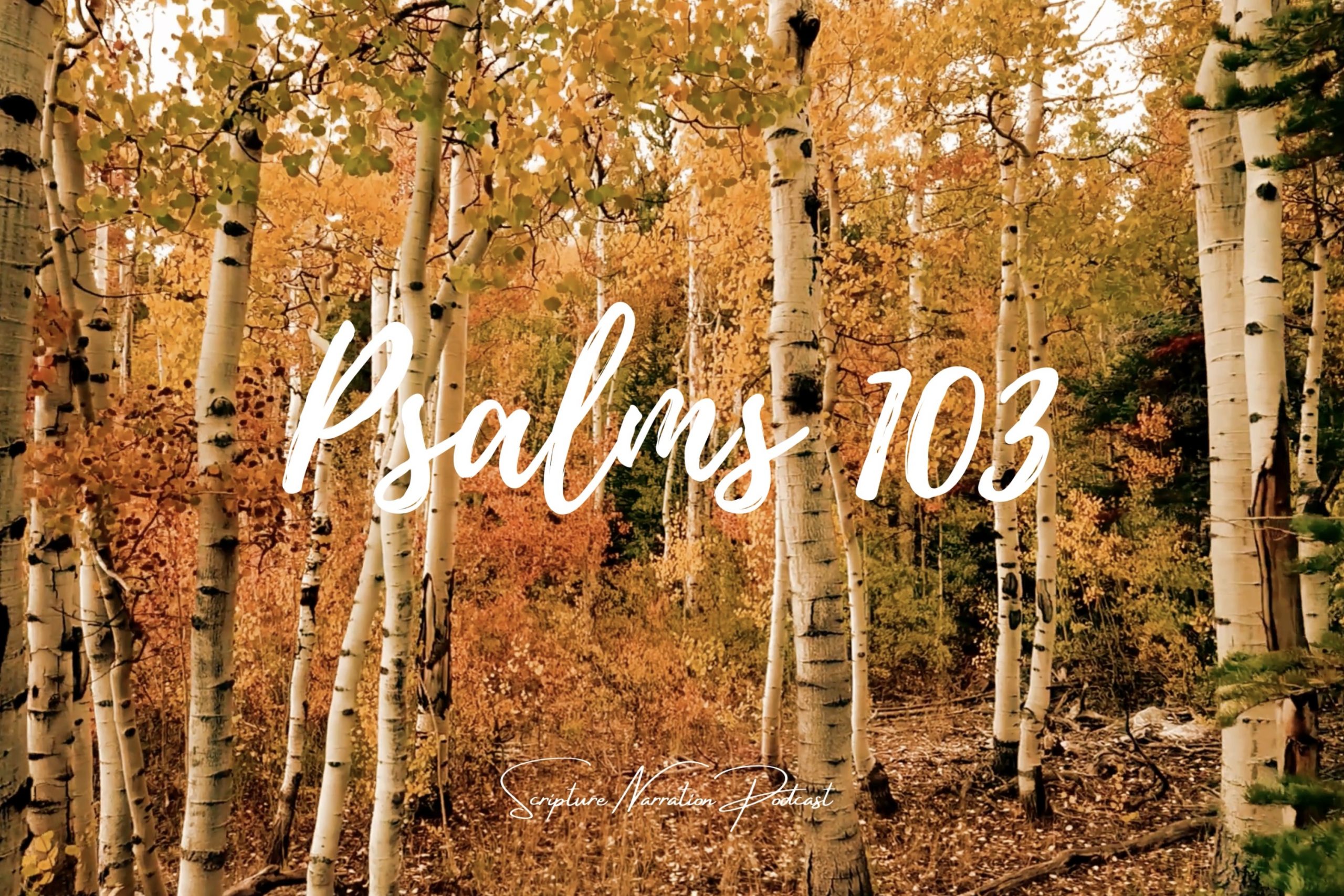 psalms 103